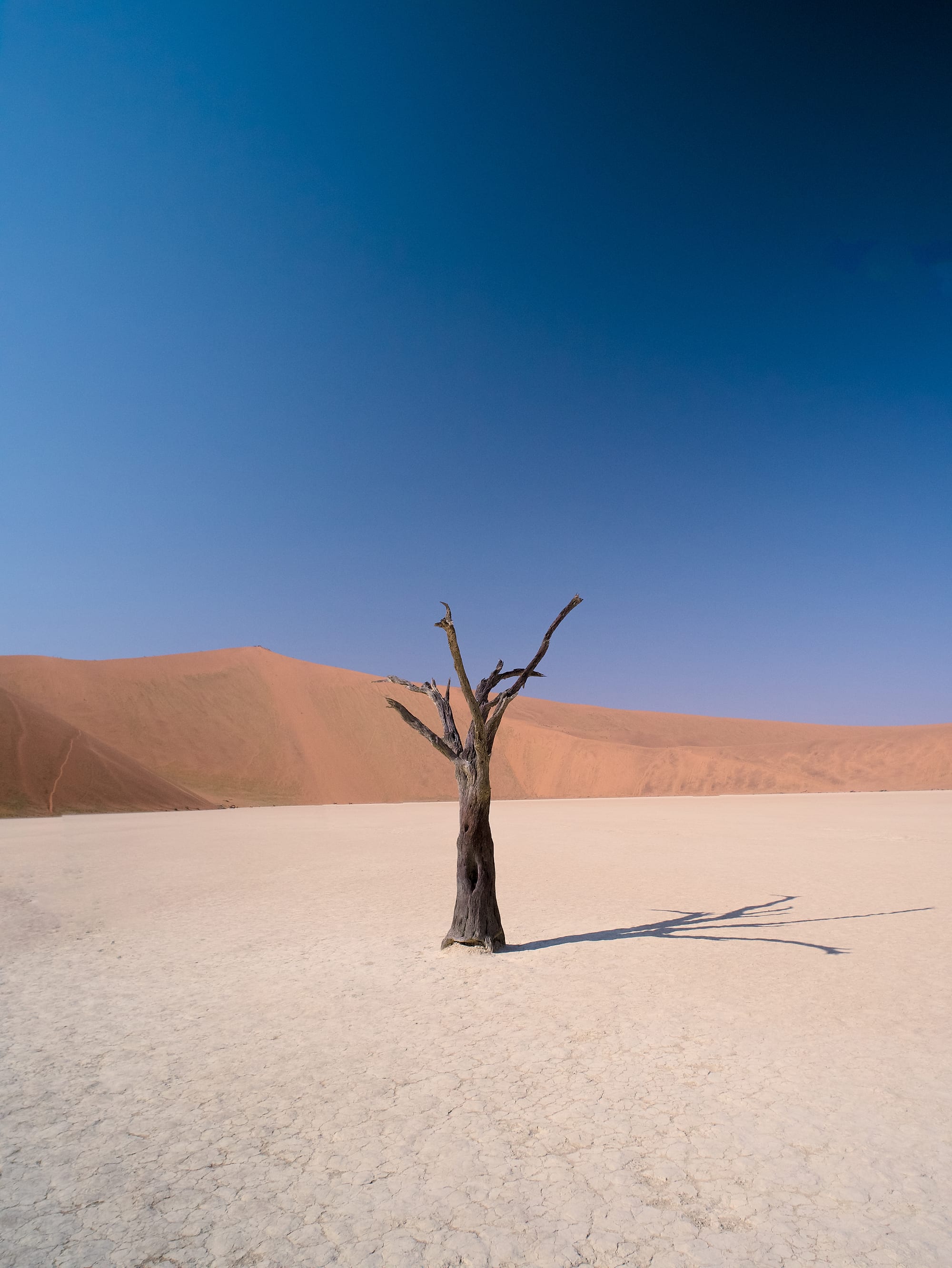Deadvlei
