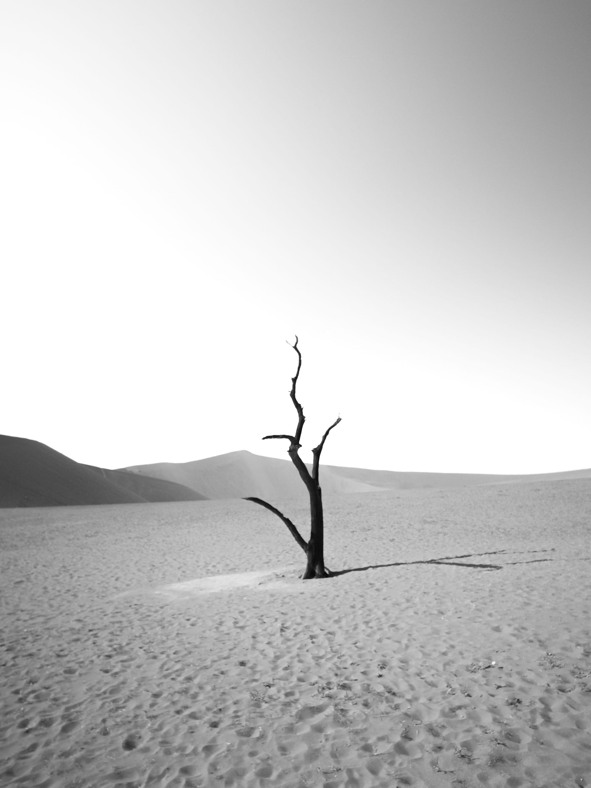 Deadvlei