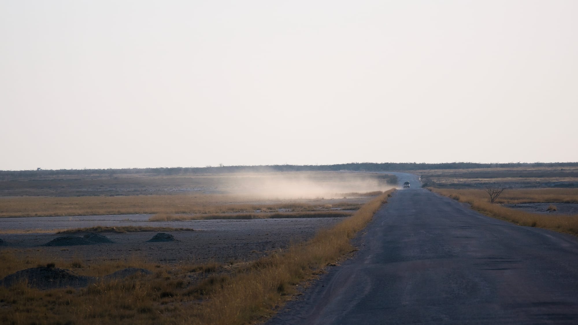Dust on the Pan Road
