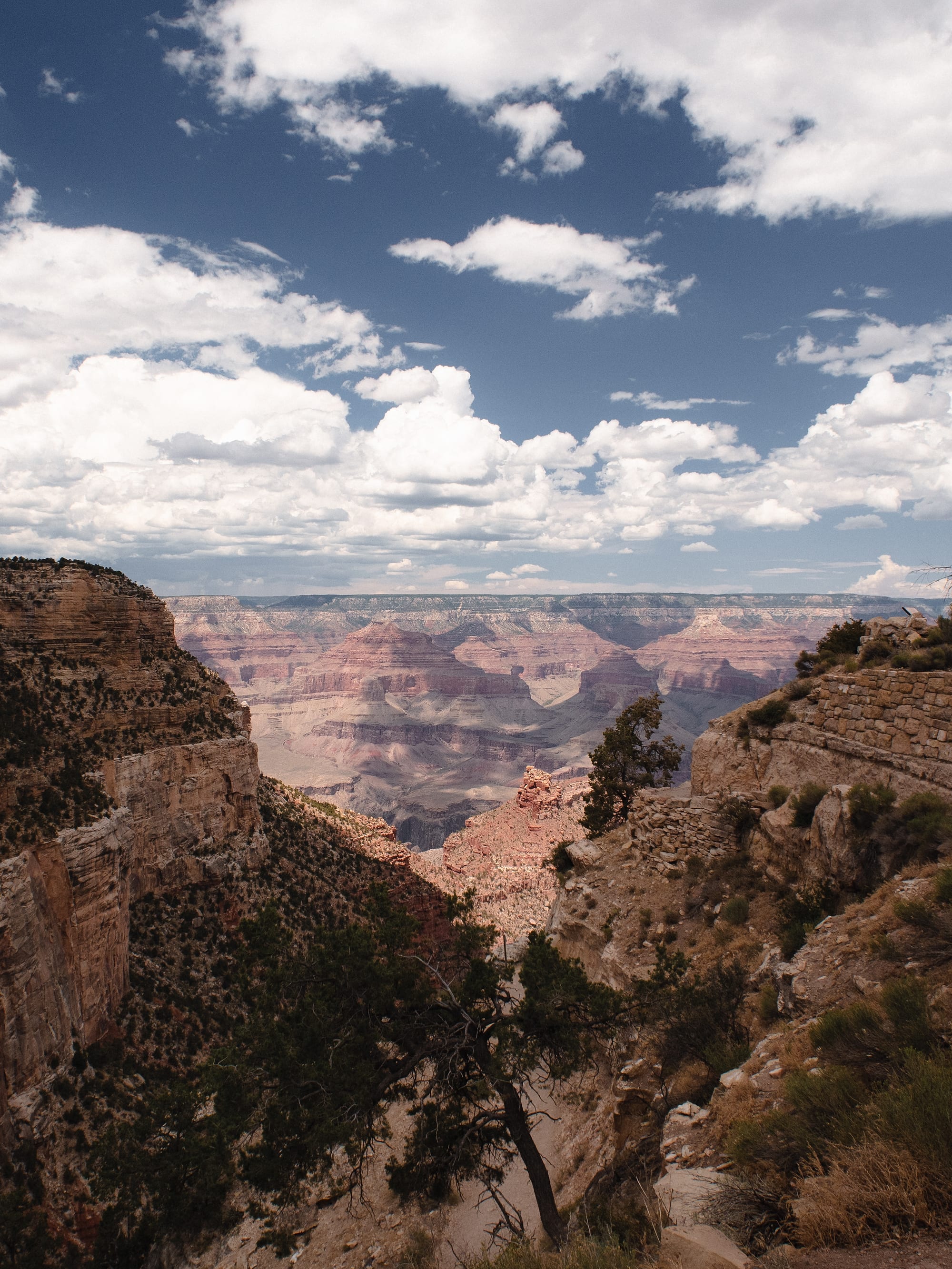 The American West