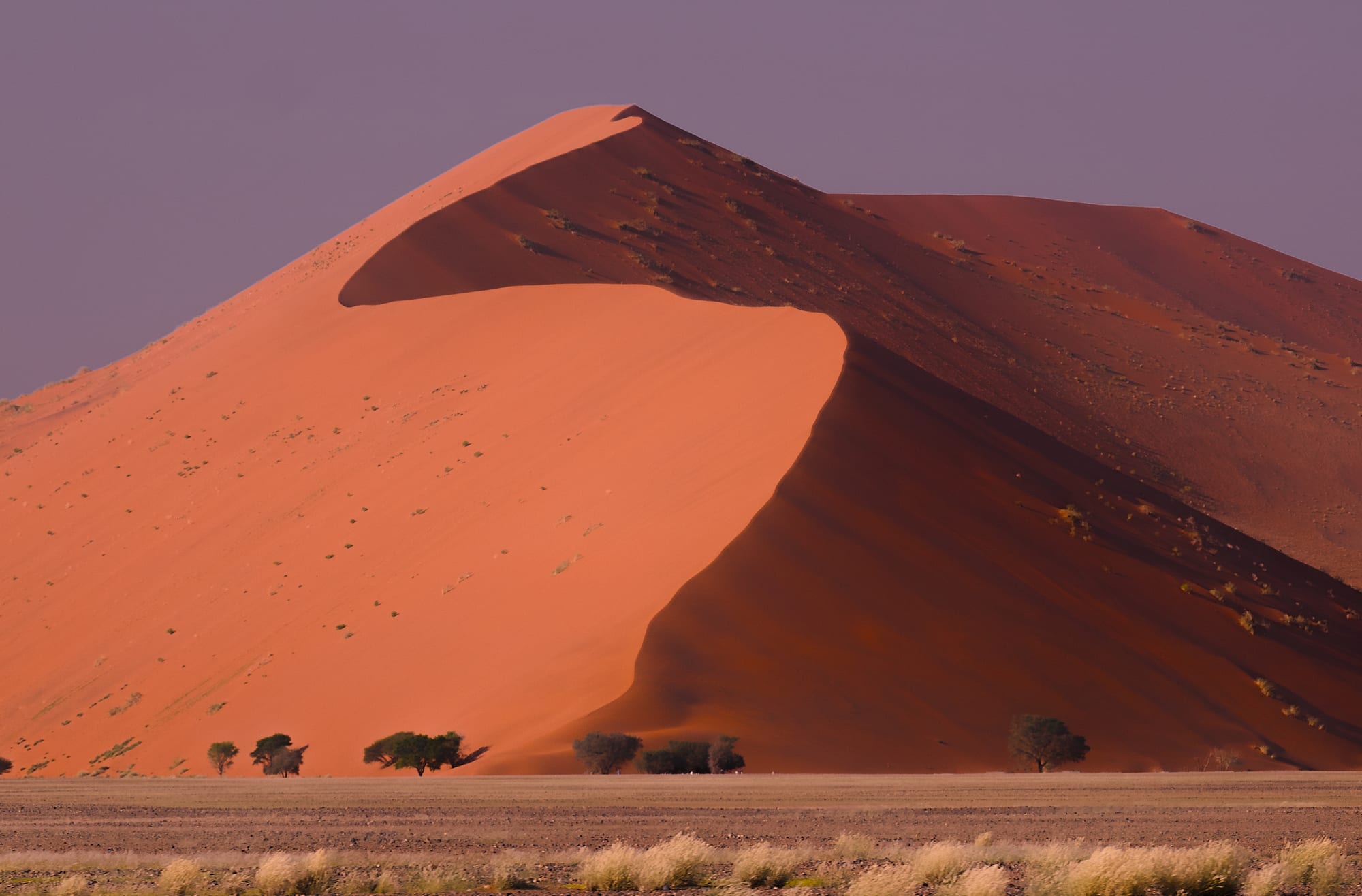 Red Dune at Dawn