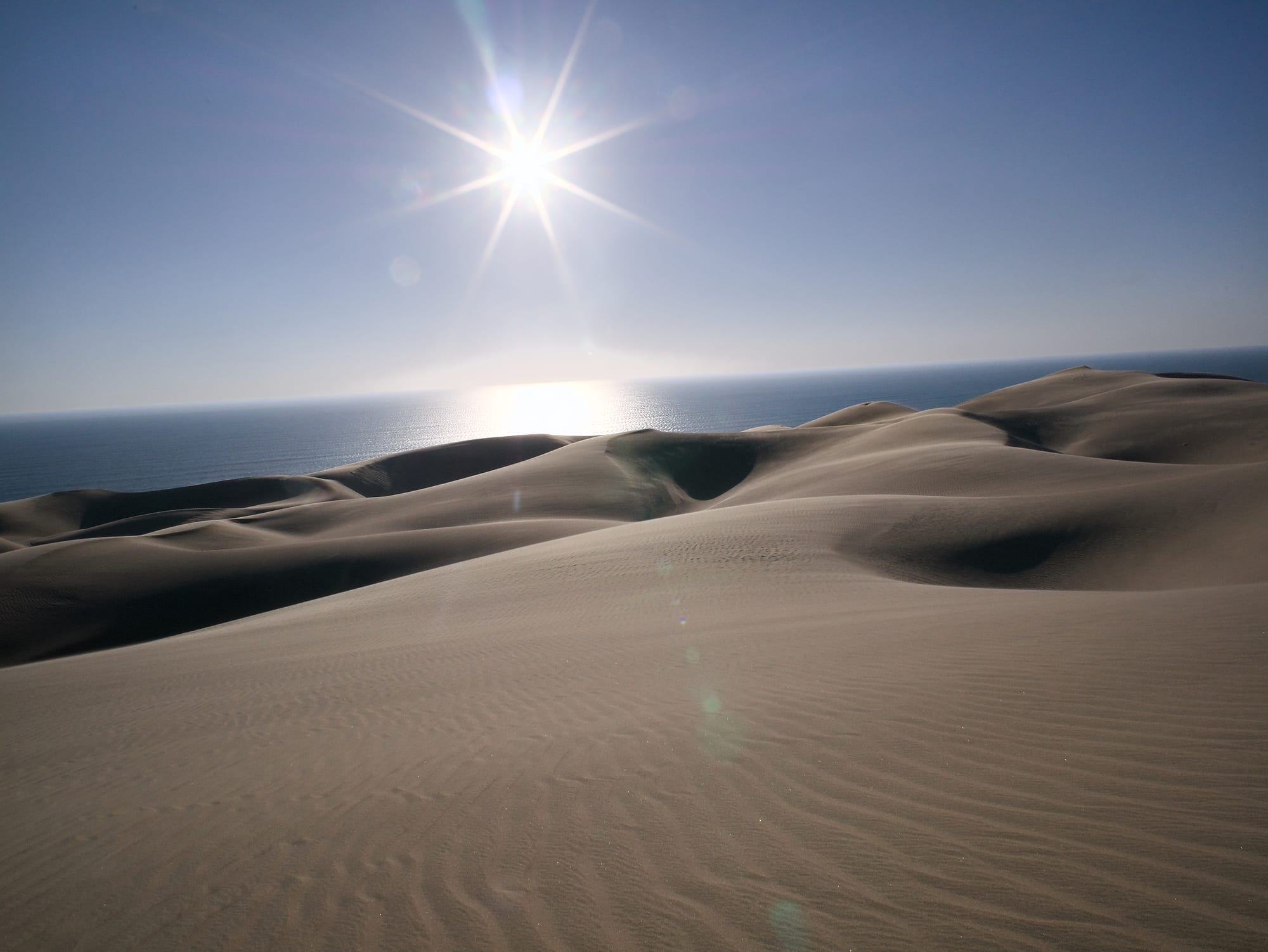 Where the Dunes Meet the Sea