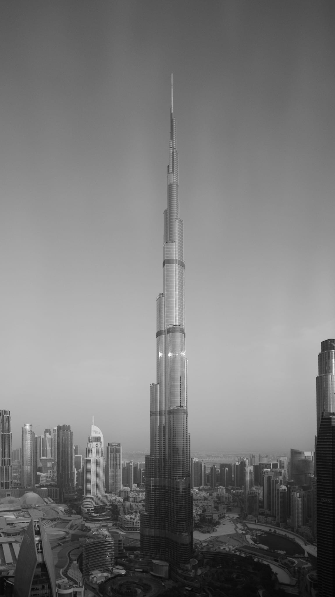 Tallest