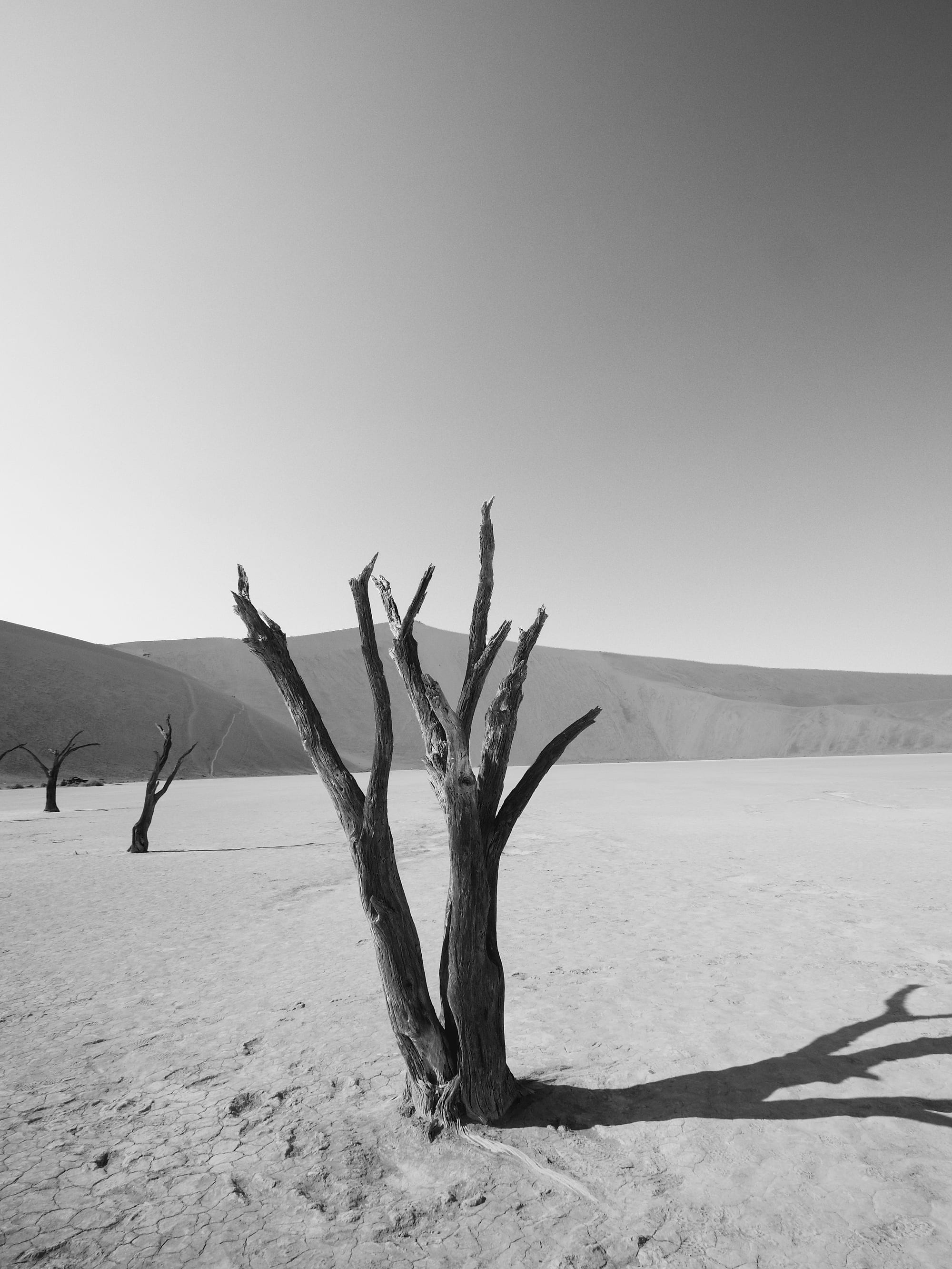 Deadvlei