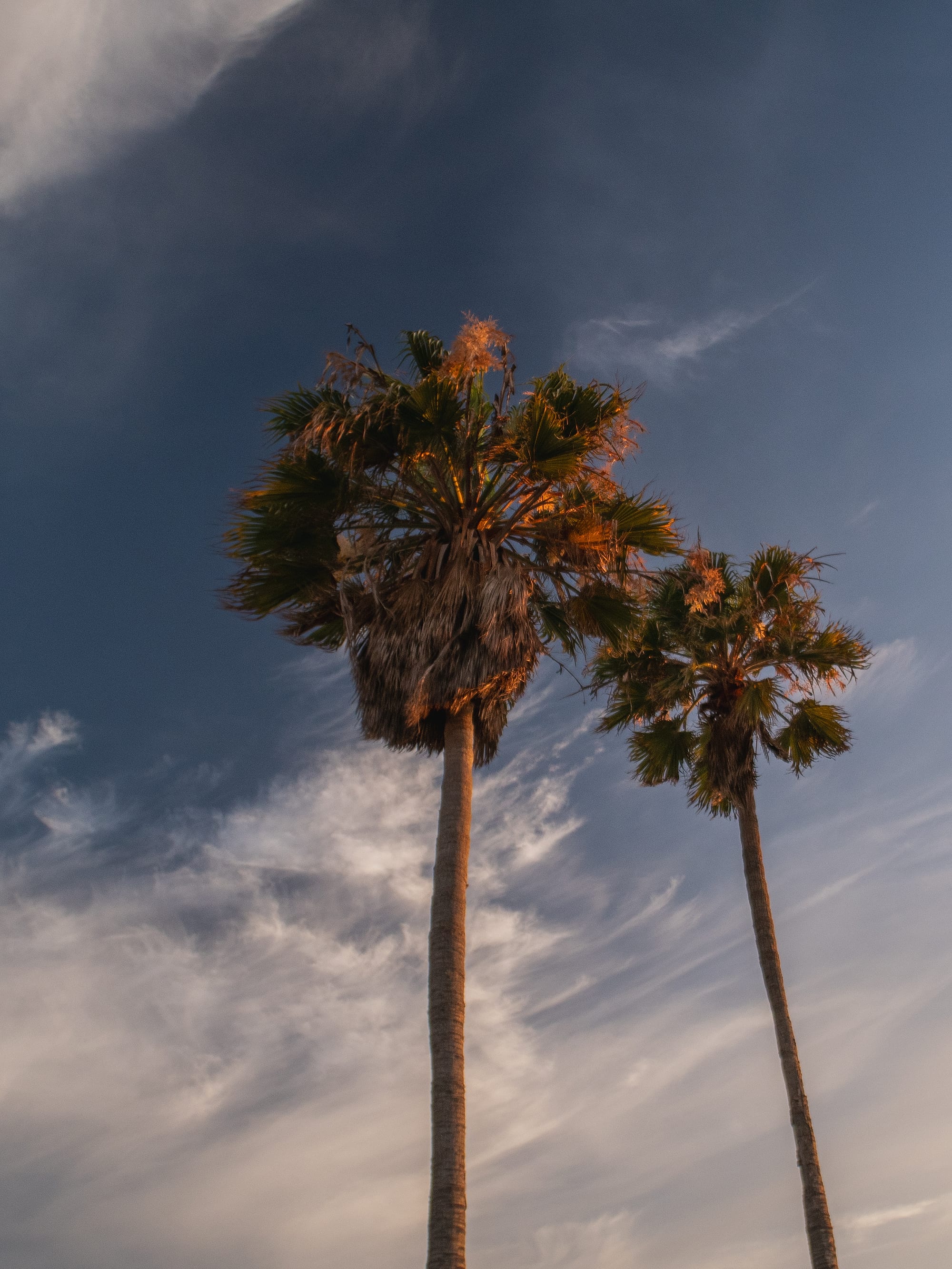 The American West