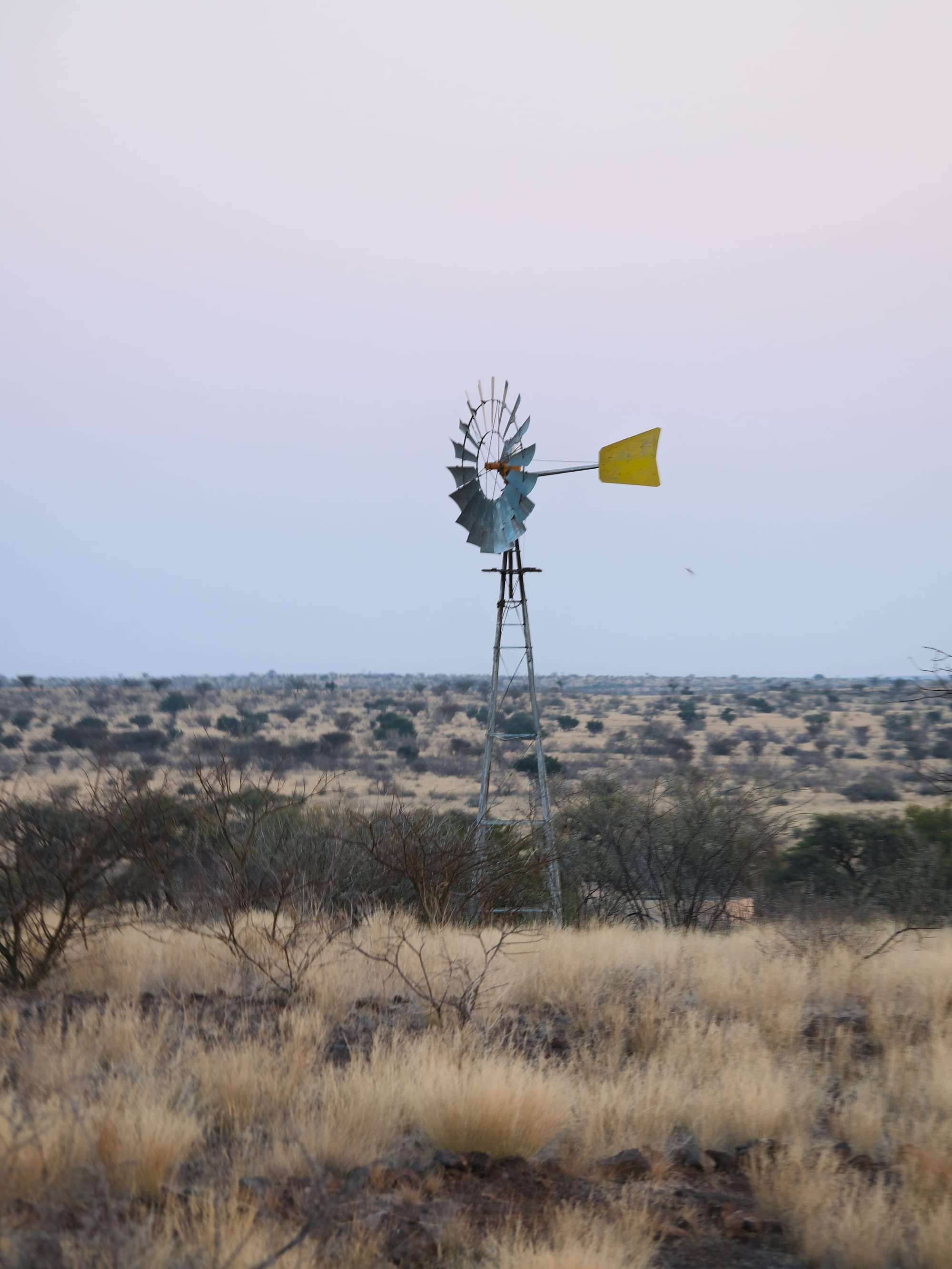 Kalahari Evening